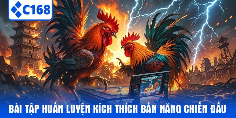 Bài tập huấn luyện kích thích bản năng chiến đấu