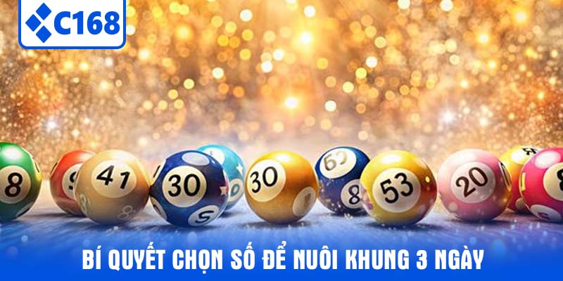 Bí Quyết Chọn Số Để Nuôi Khung 3 Ngày