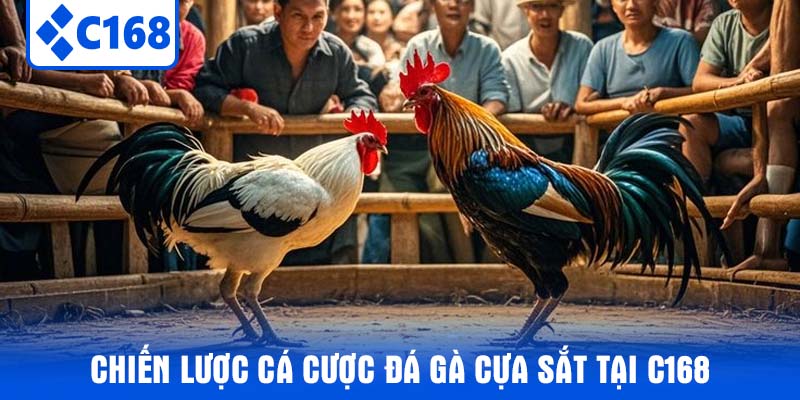 Chiến Lược Cá Cược Đá Gà Cựa Sắt Tại C168