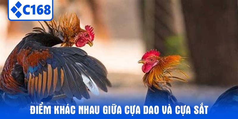 Điểm Khác Nhau Giữa Cựa Dao Và Cựa Sắt 