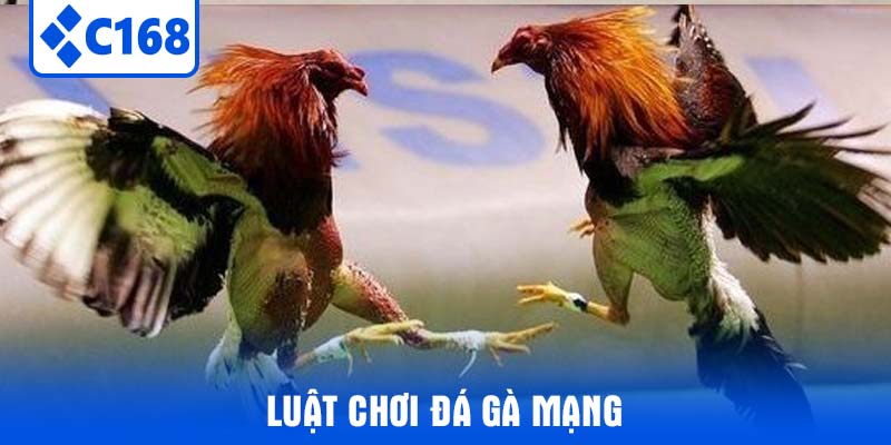 Luật Chơi Đá Gà Mạng