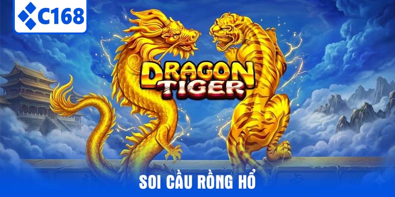 Soi cầu Rồng Hổ