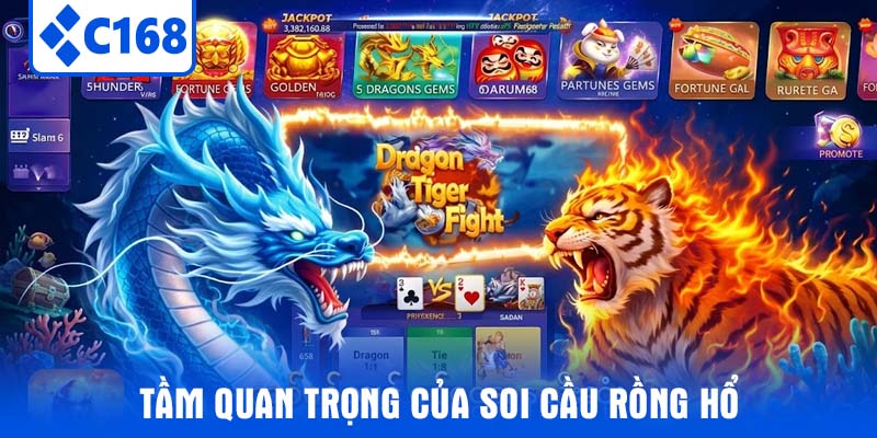 Tầm quan trọng của soi cầu Rồng Hổ