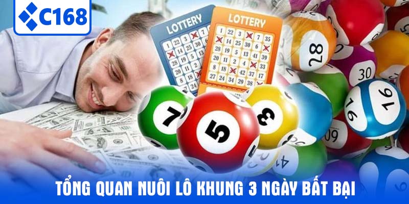 Tổng quan Nuôi Lô Khung 3 Ngày bất bại
