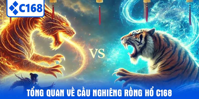 Tổng quan về cầu nghiêng rồng hổ C168